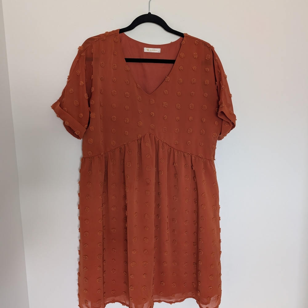 Chic Terracotta Mini Dress